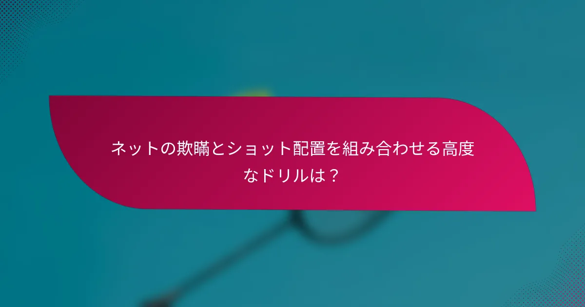 ネットの欺瞞とショット配置を組み合わせる高度なドリルは？